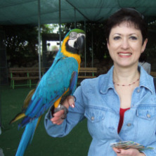 Yelena